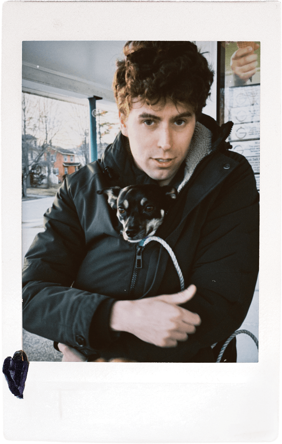 Team member holding a small dog